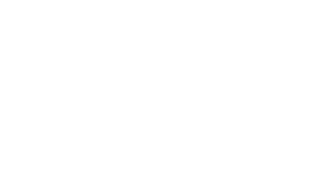 MZMP лого